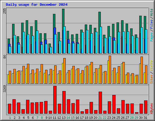 Daily usage for December 2024