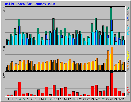 Daily usage for January 2025