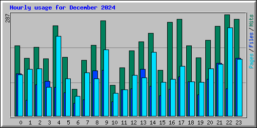 Hourly usage for December 2024
