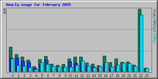Hourly usage for February 2025