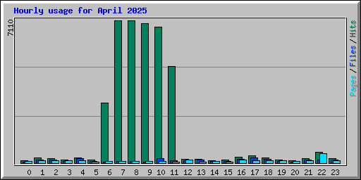 Hourly usage for April 2025