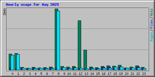 Hourly usage for May 2025