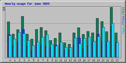 Hourly usage for June 2025