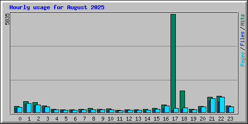 Hourly usage for August 2025