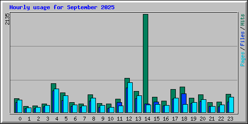 Hourly usage for September 2025