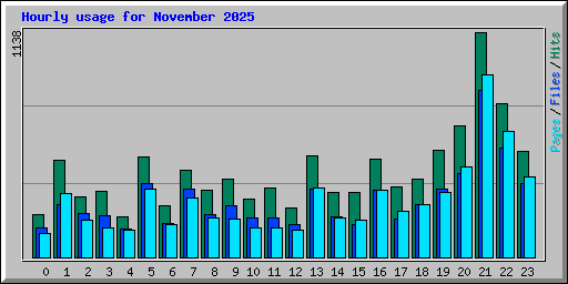 Hourly usage for November 2025
