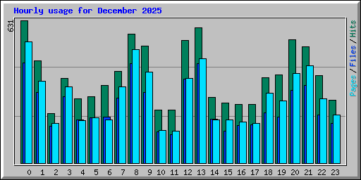 Hourly usage for December 2025